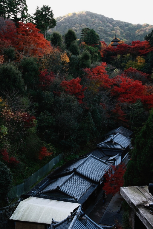 清水寺　～その他～_f0049152_8114327.jpg