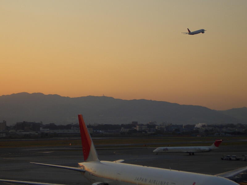 大阪国際空港（伊丹空港）ウオッチング_e0161853_1005686.jpg