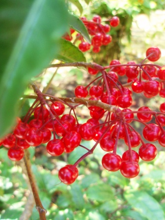 c0119259_0414841.jpg