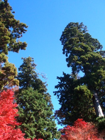 c0119259_0481645.jpg