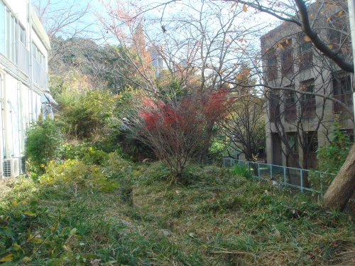 c0108460_11333688.jpg
