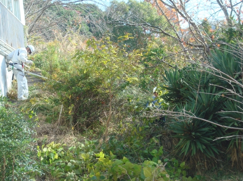 c0108460_1135163.jpg