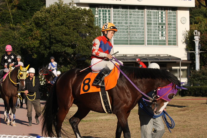 2008年11月30日（日） 高知競馬 9R_a0077663_18372483.jpg