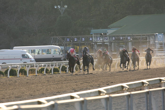 2008年11月30日（日） 高知競馬 9R_a0077663_18383079.jpg