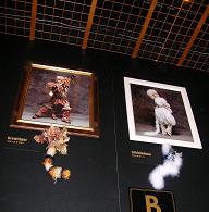 f0139963_7373720.jpg