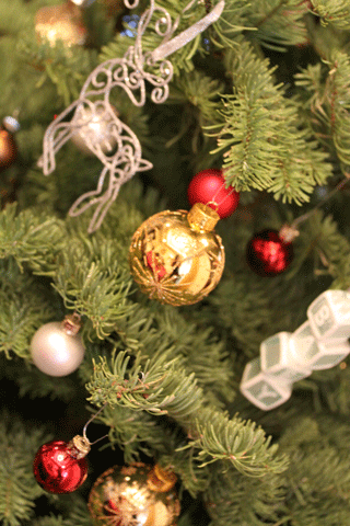 f0107364_16281899.gif