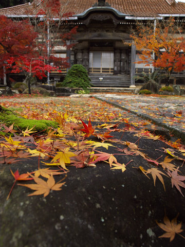 龍雲寺の紅葉　残り_f0191564_17102330.jpg