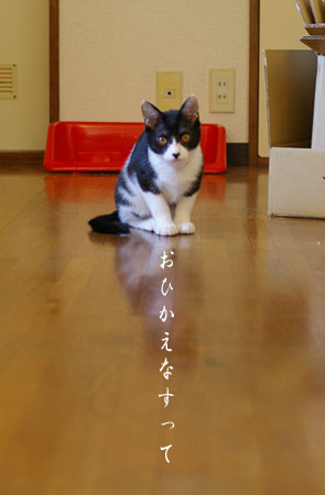 a0064067_22485351.jpg