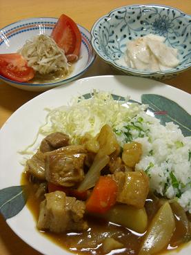 日本の国民食～カレーライス_e0023471_10334037.jpg