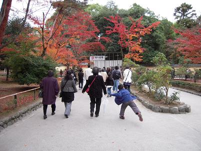 京都に行ってきましたⅡ★(^^♪・・・・・１１月３０日_e0107171_21253888.jpg