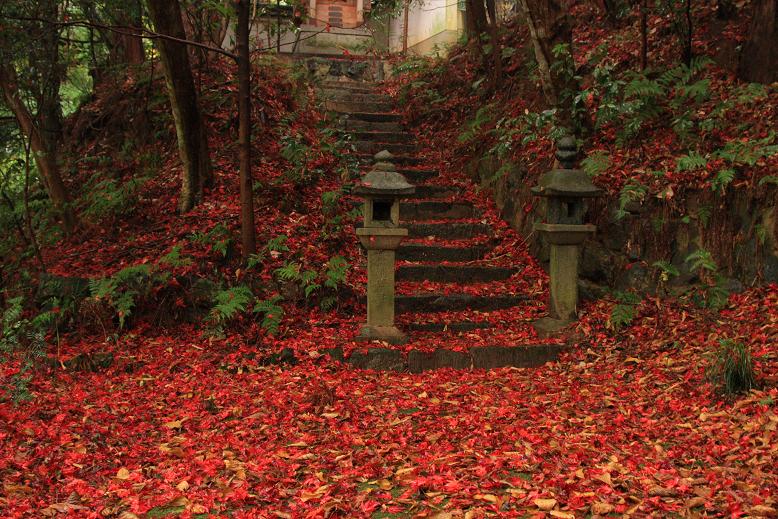 穴師坐兵主神社の紅葉_c0153672_2225782.jpg