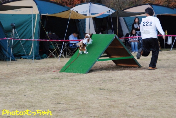 c0044199_11262195.jpg