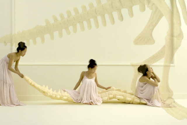 living with dinosaurs :: Sayaka Yamamoto_f0089299_1285426.jpg