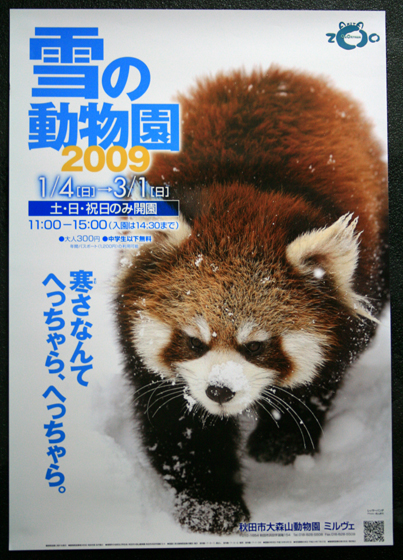 撮影会_b0016600_0332465.jpg