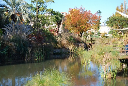 c0124100_11155728.jpg