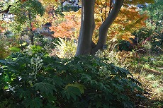 c0124100_11192822.jpg