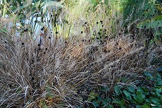 c0124100_11221468.jpg