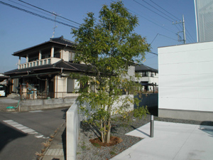 c0148401_16443069.jpg