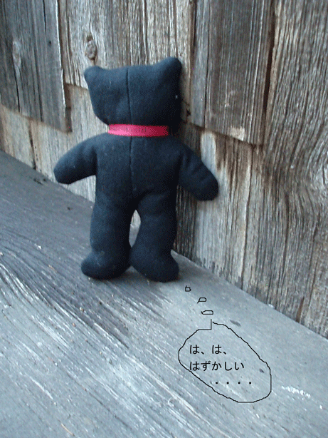 c0129702_20594037.gif