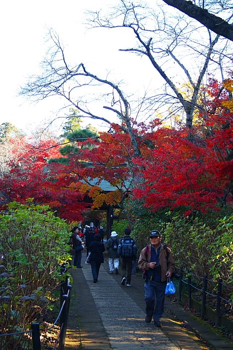 本土寺（その４）_e0140108_559280.jpg