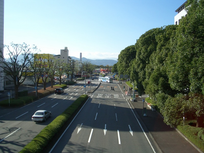 青葉通りのクスノキが_f0141310_23181261.jpg