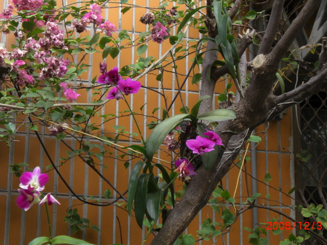 a0029812_0115250.jpg