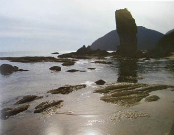 e0139012_15275388.jpg