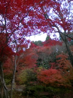 紅葉狩り～2日のつづき～_f0196014_10163195.jpg