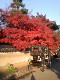 紅葉狩り～2日のつづき～_f0196014_10251519.jpg