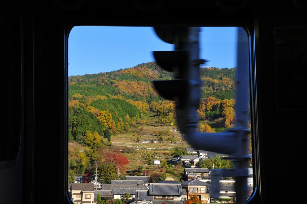 人はいさ　心も知らず・・・奈良・長谷寺紀行_a0031821_7502466.jpg