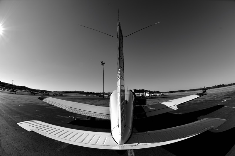 a0059621_7425465.jpg