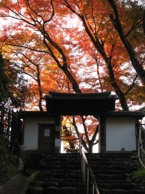 f0054428_17362391.jpg
