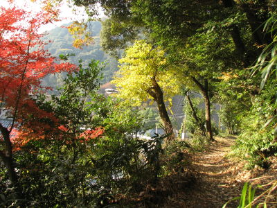 f0054428_17422730.jpg