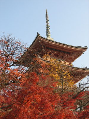 f0054428_17454951.jpg
