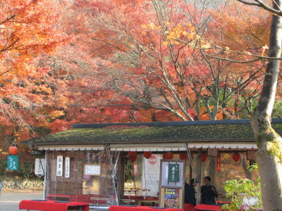 f0054428_17462340.jpg
