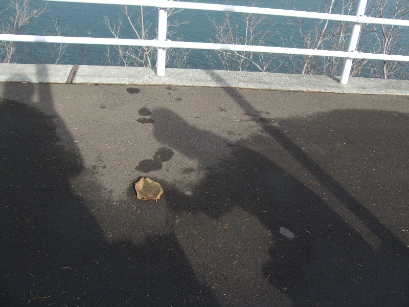 832）　張碓第２中継ポンプ場付近からの海景色_f0126829_222135.jpg