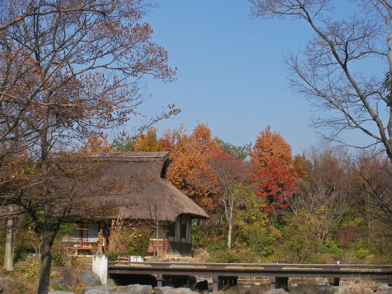 公園へ_c0077531_22544552.jpg