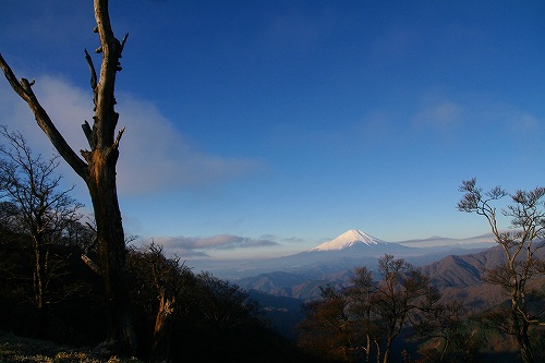 c0015639_19332670.jpg