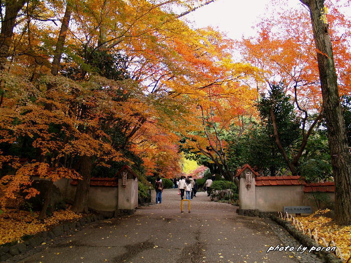 大山崎山荘とサントリー蒸留所_c0137342_84544100.jpg