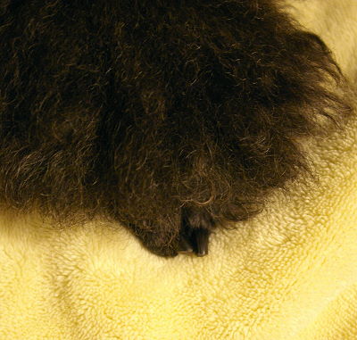 d0026745_32218.jpg