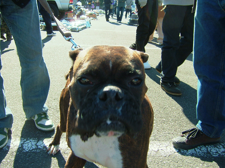 MOPONA その2_d0141049_055540.jpg