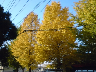 c0121550_20565913.jpg