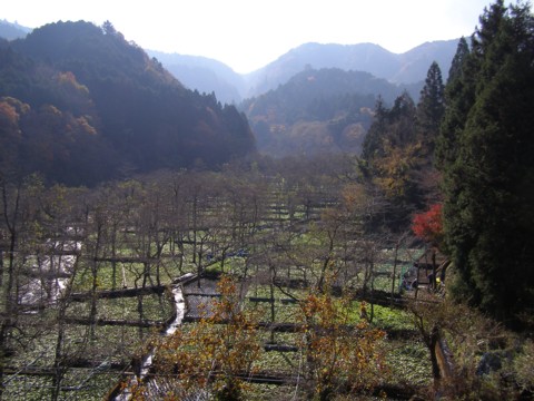 f0043750_21204891.jpg