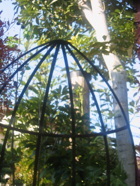 e0167453_10182078.jpg