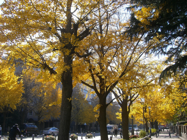 f0176458_2263878.jpg