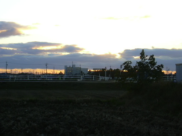 b0139862_1214297.jpg
