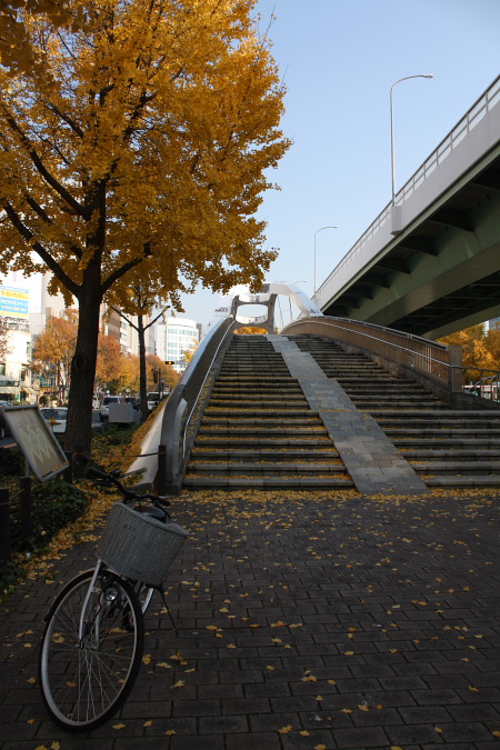 f0148762_21561478.jpg