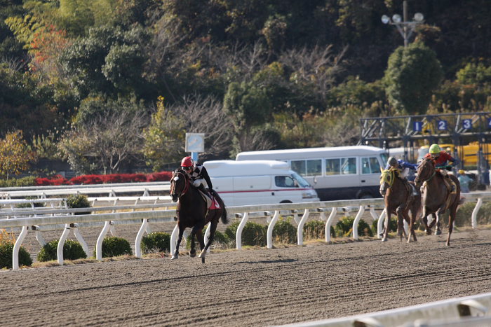 2008年11月30日（日） 高知競馬 1R_a0077663_18524416.jpg