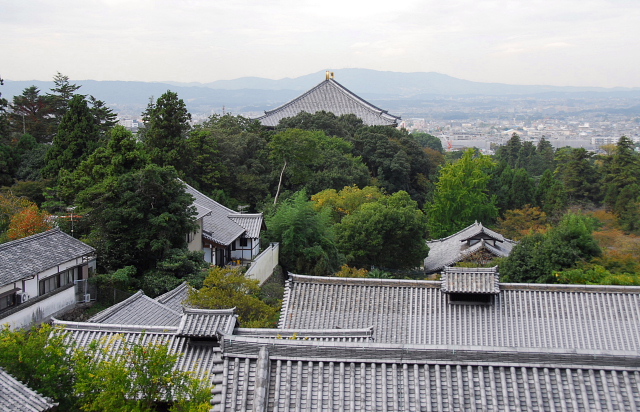 b0053765_8553816.jpg