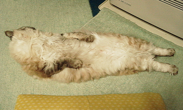 f0132565_9283397.jpg
